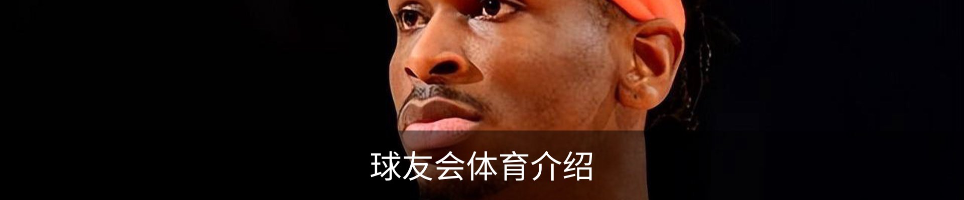 球友会体育介绍
